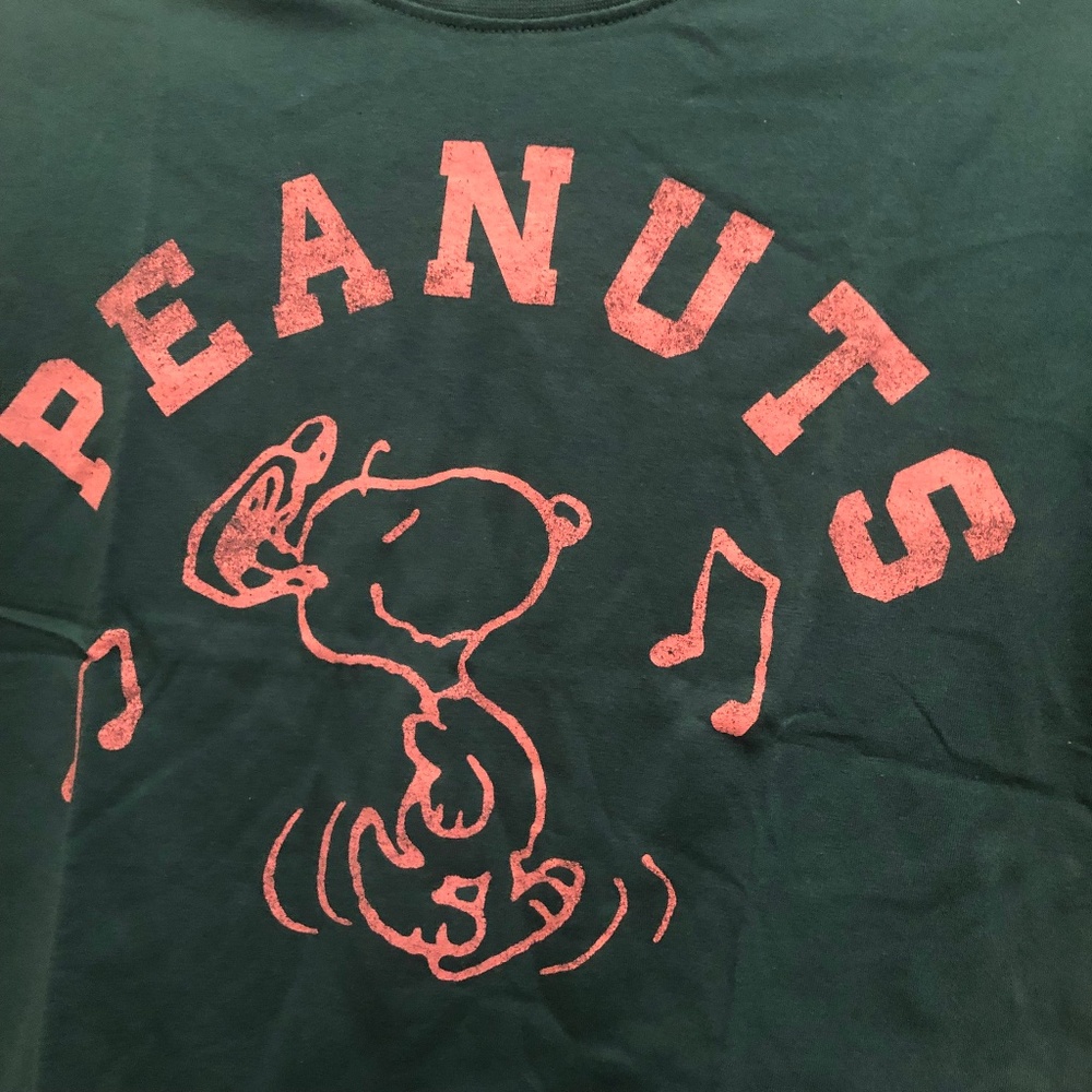 - Peanuts Snoopy Green T-Shirt Size X-Large (14-16) NWT - Picture 2 of 4
